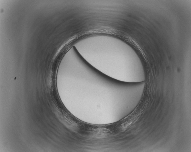 X0000084030396200702160857