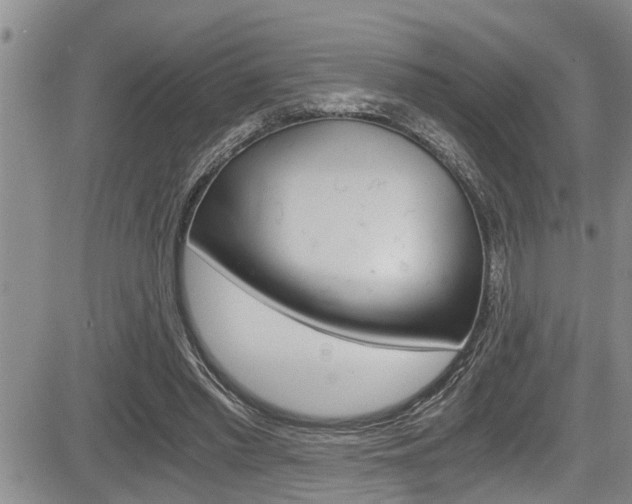 X0000084030397200702160857