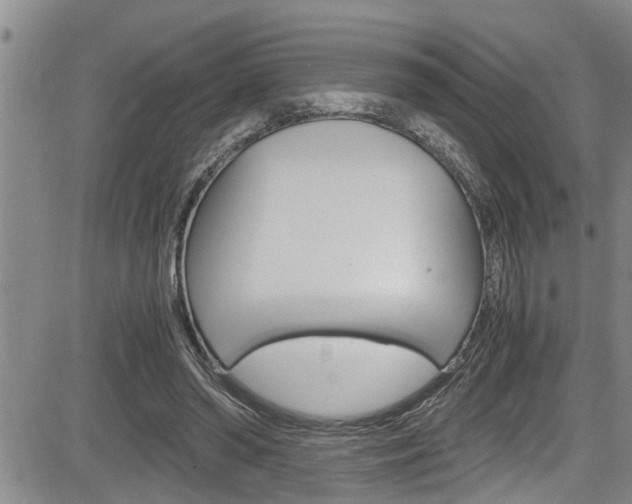 X0000084030398200702160857