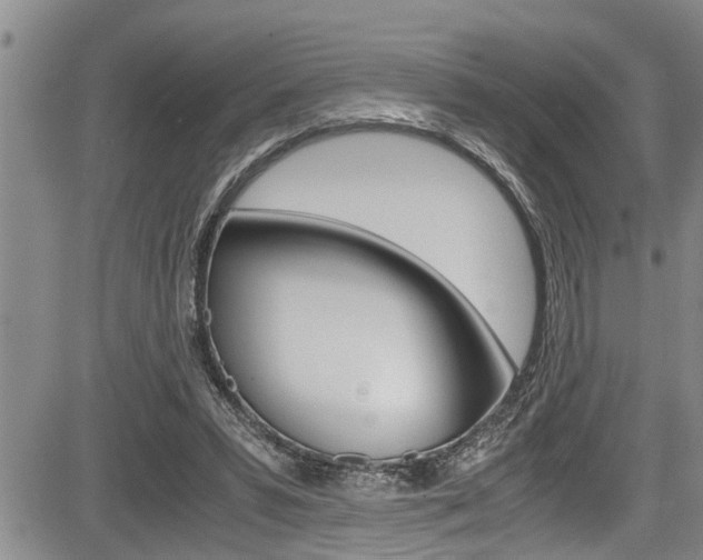 X0000084030399200702160857