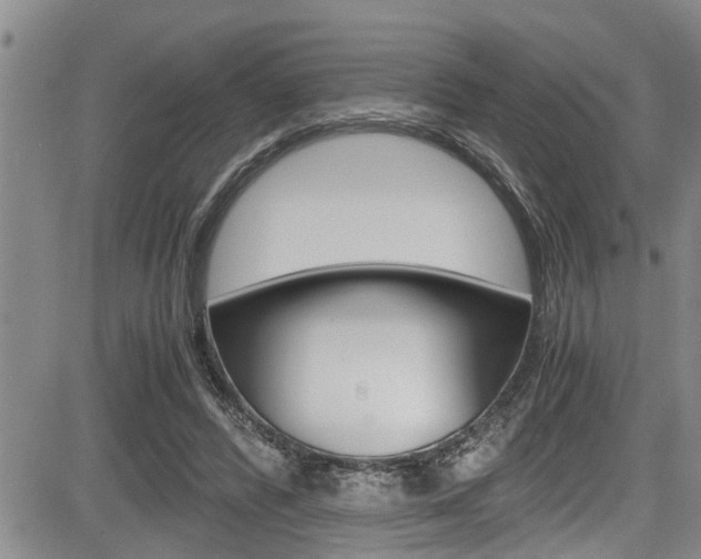 X0000084030400200702160857