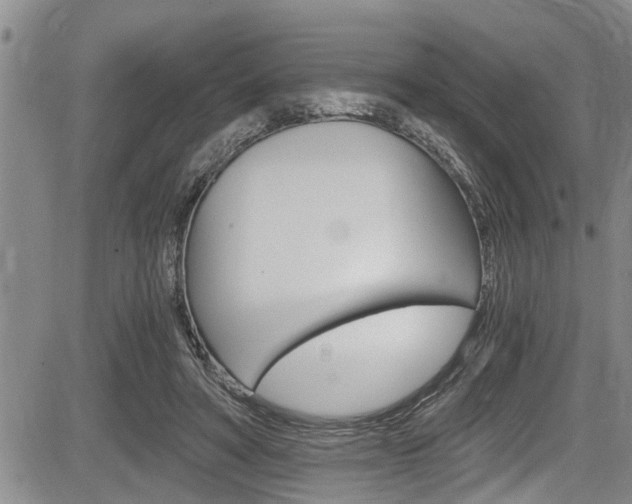 X0000084030402200702160857