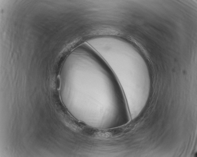 X0000084030403200702160857