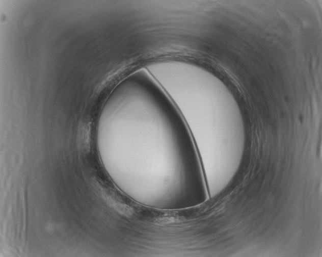 X0000084030404200702160857