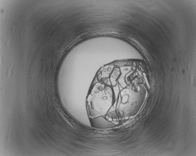 X0000084030405200702160857