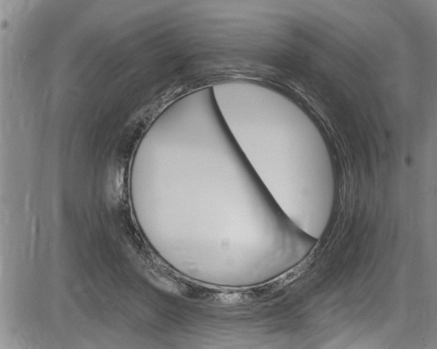 X0000084030406200702160857