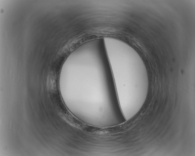 X0000084030408200702160857