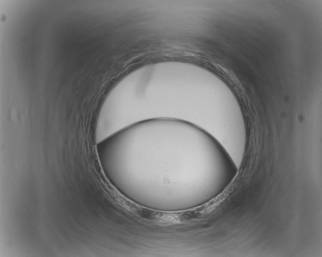 X0000084030409200702160857