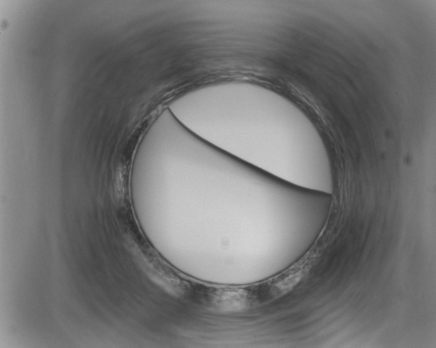 X0000084030410200702160857