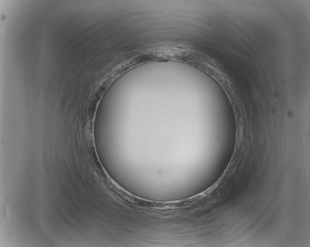 X0000084030411200702160857