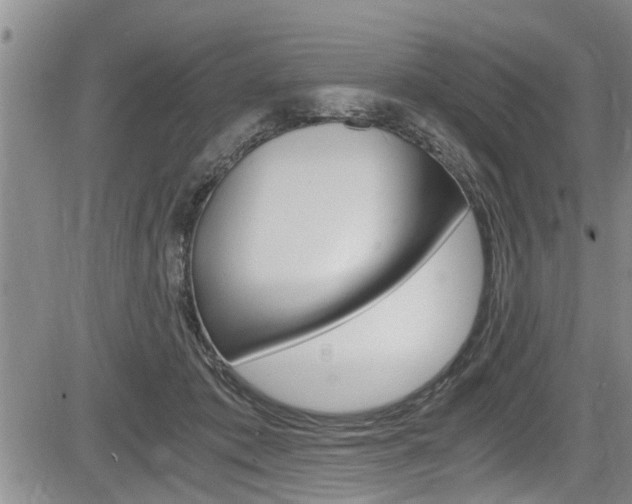 X0000084030413200702160857