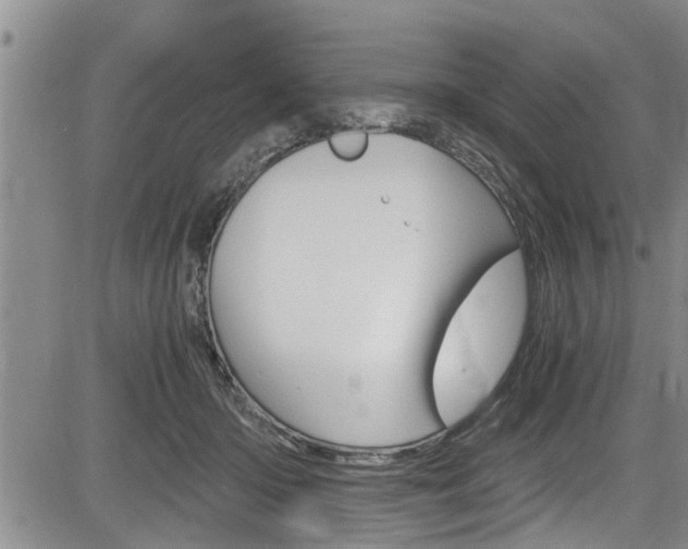 X0000084030414200702160857