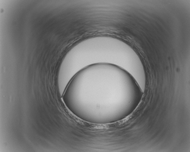 X0000084030415200702160857