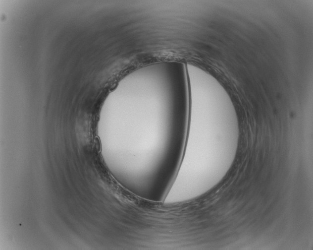 X0000084030416200702160857