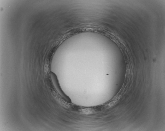 X0000084030417200702160857