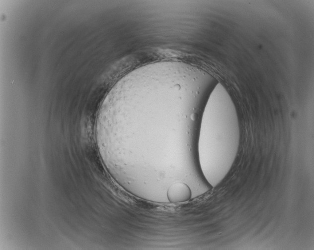 X0000084030418200702160857