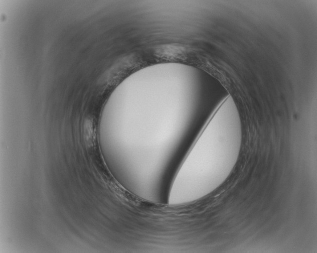 X0000084030420200702160857