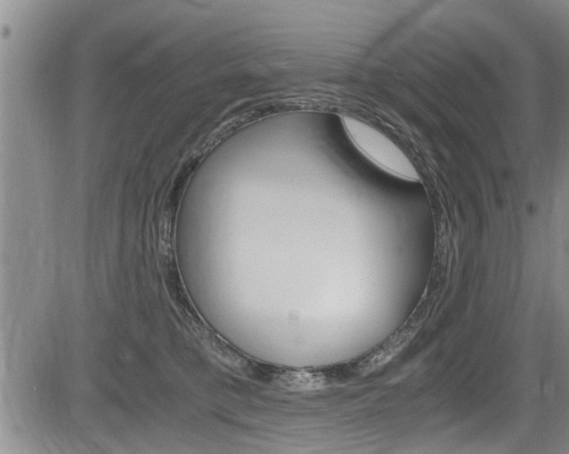 X0000084030421200702160857