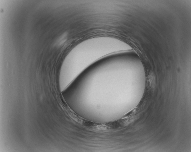 X0000084030423200702160857