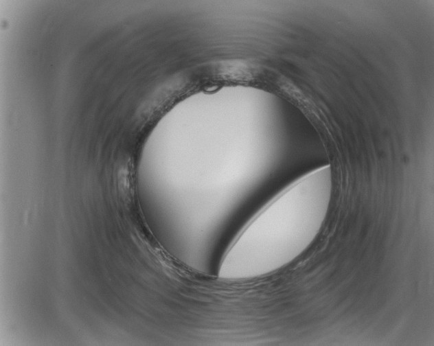 X0000084030424200702160857