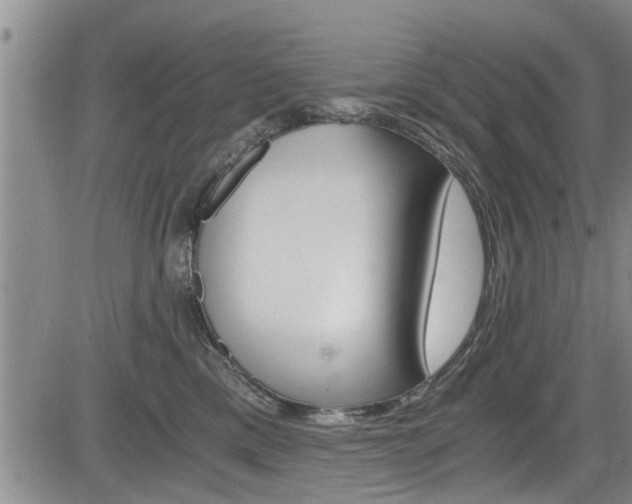 X0000084030425200702160857