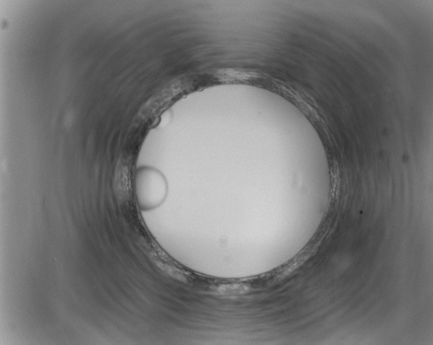 X0000084030426200702160857