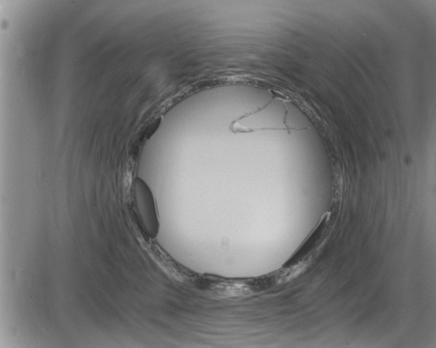 X0000084030427200702160857