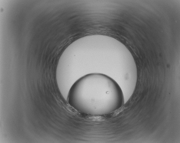 X0000084030428200702160857