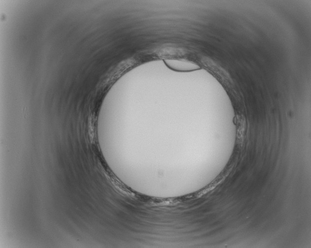 X0000084030430200702160857