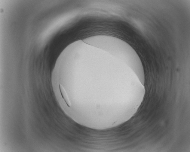 X0000084030431200702160857