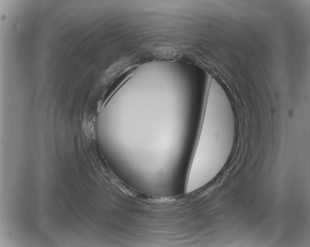 X0000084030432200702160857