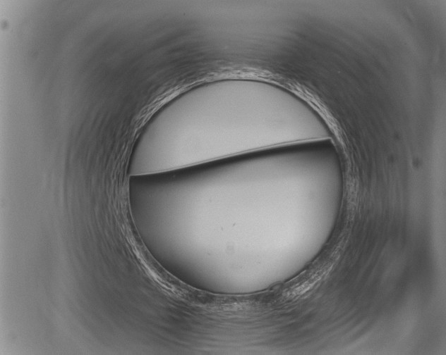 X0000084030433200702160856