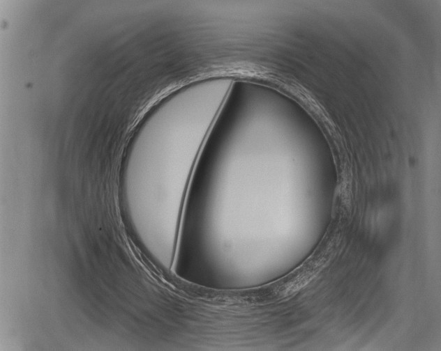 X0000084030434200702160856