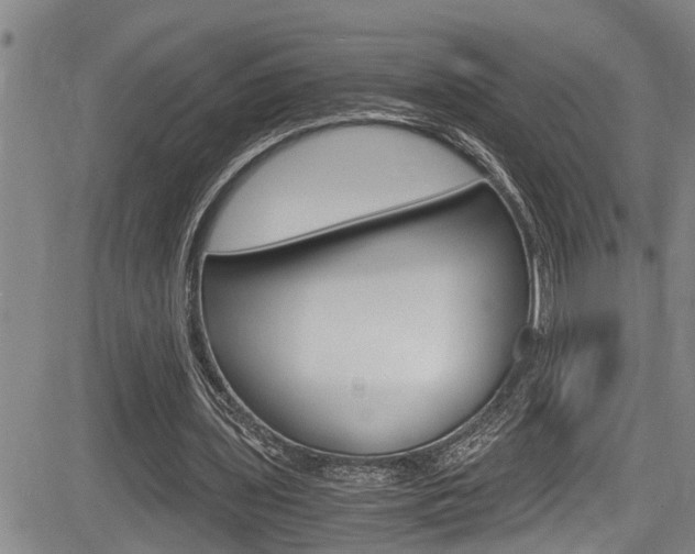 X0000084030435200702160856