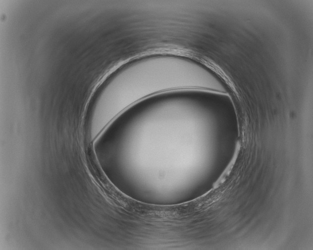 X0000084030436200702160856