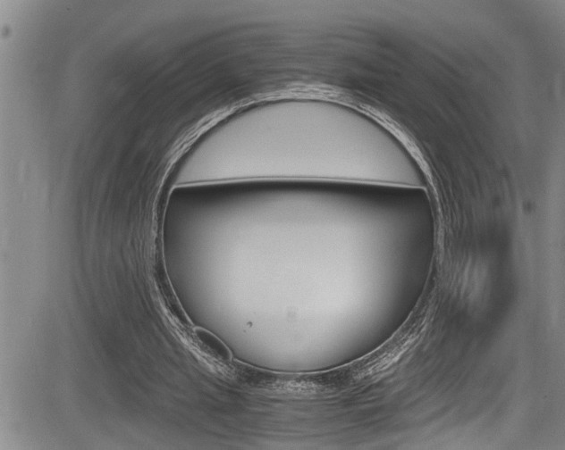 X0000084030437200702160856