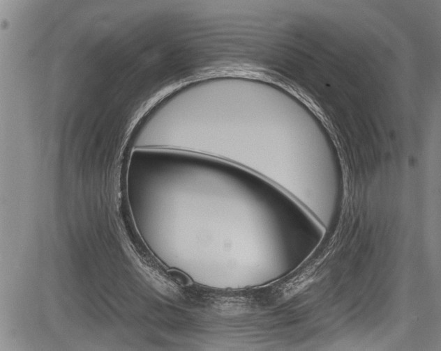 X0000084030438200702160856