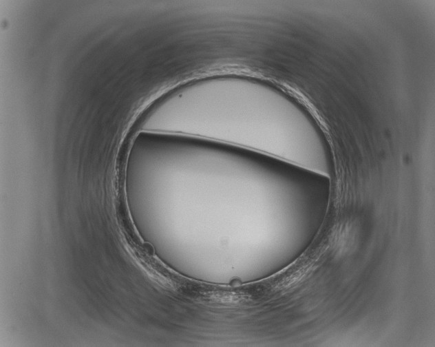 X0000084030439200702160856