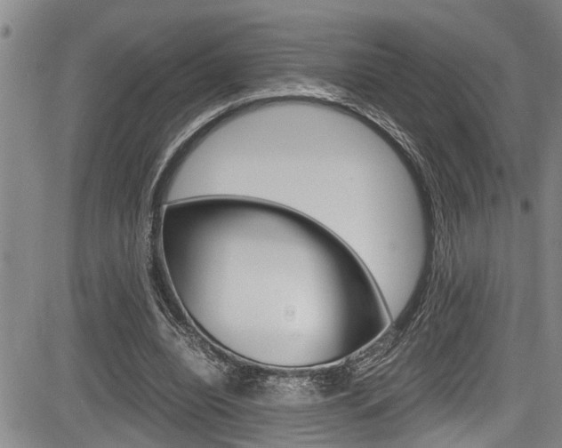 X0000084030440200702160856