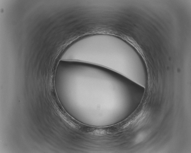 X0000084030441200702160856