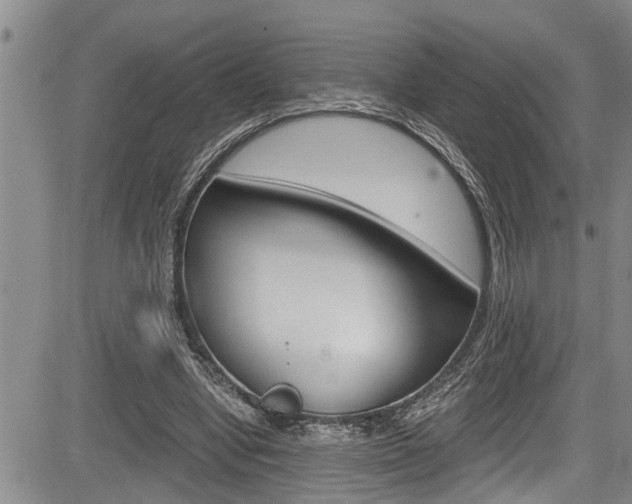 X0000084030442200702160856