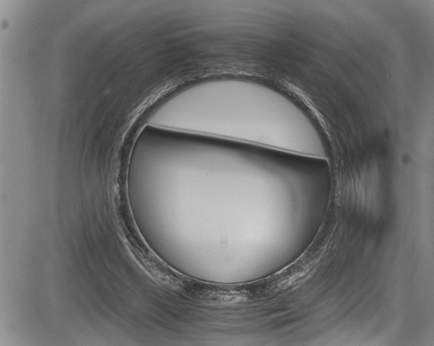 X0000084030443200702160856