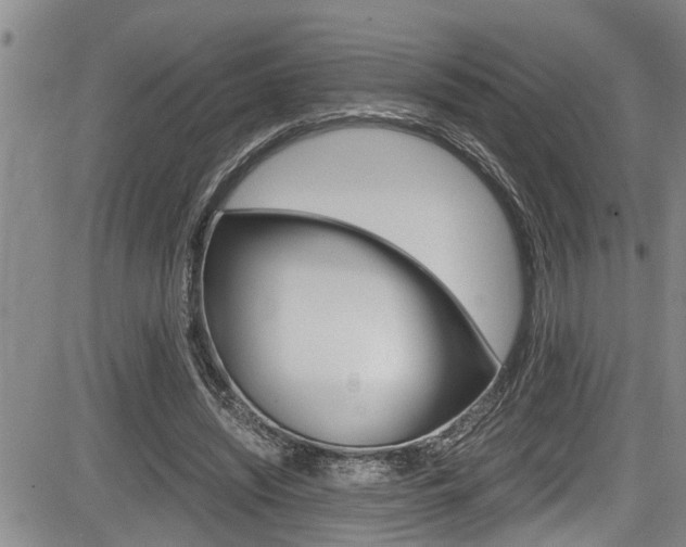 X0000084030444200702160856