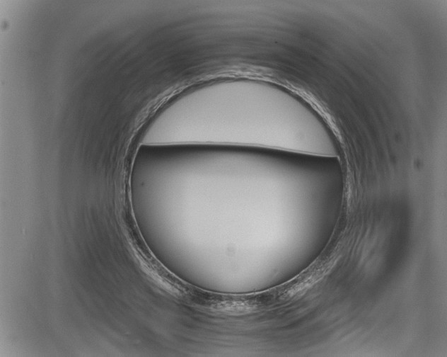 X0000084030445200702160856