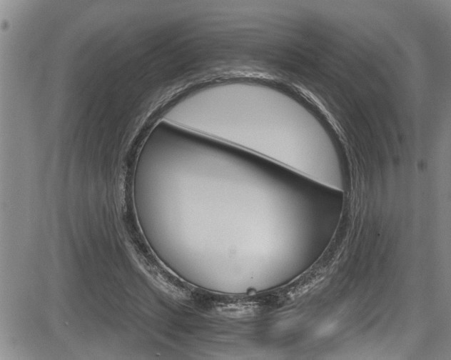 X0000084030447200702160856