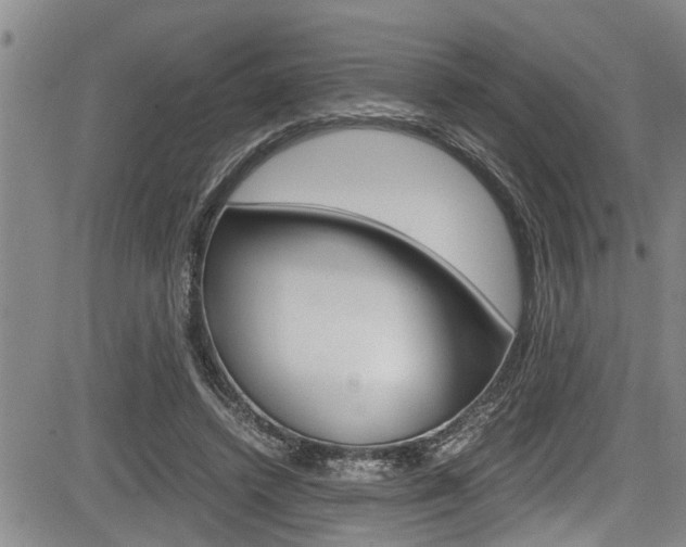 X0000084030448200702160856