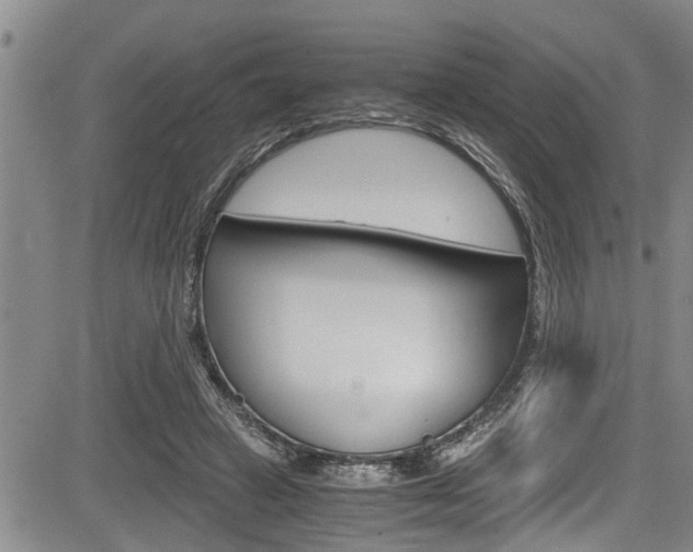 X0000084030449200702160856