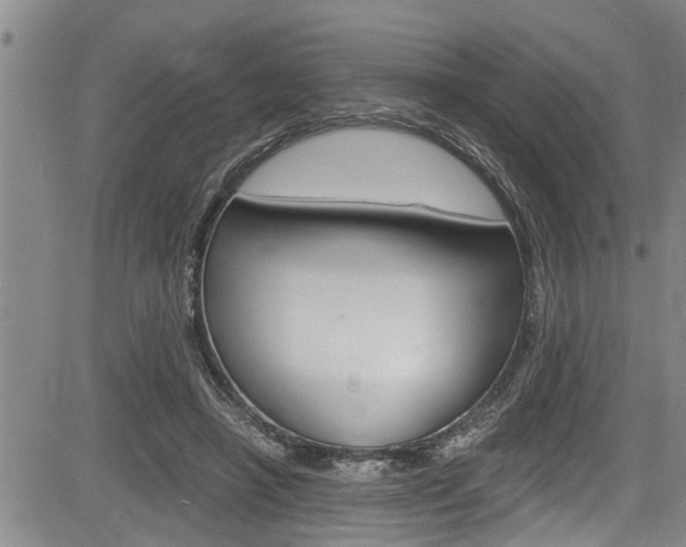 X0000084030450200702160856