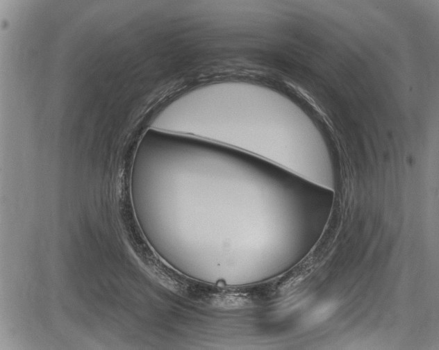 X0000084030451200702160856