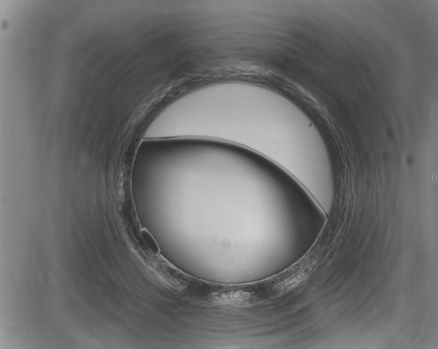 X0000084030452200702160856